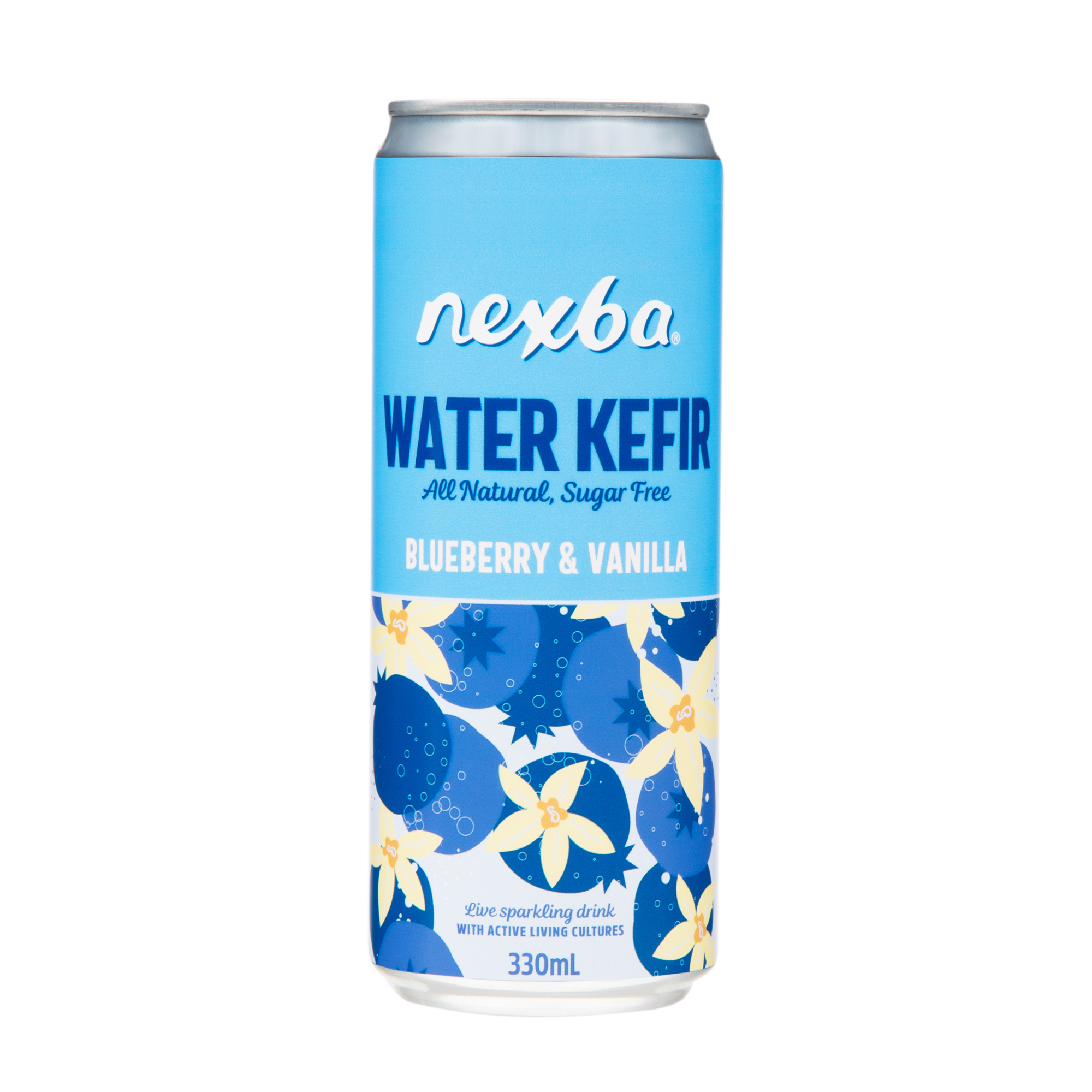 BLUEBERRY & VANILLA WATER KEFIR